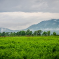 _DSC_4344.jpg