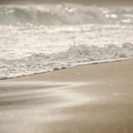 _DSC_6666.jpg