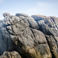_DSC_6886.jpg