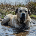 _DSC_0555.jpg
