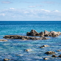 _DSC_0831.jpg