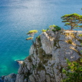_DSC_0912.jpg