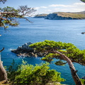 _DSC_1016.jpg