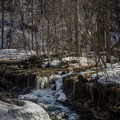 _DSC_3746.jpg