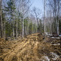 _DSC_4167.jpg