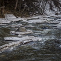 _DSC_3788.jpg