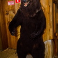 _DSC_3943.jpg
