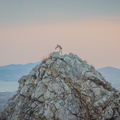 _DSC_4022.jpg