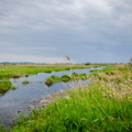 _DSC_4016.jpg