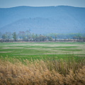 _DSC_7194.jpg