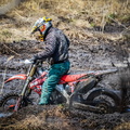 _DSC_3533.jpg