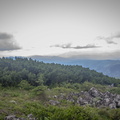 _DSC_5494.jpg