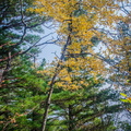 _DSC_6647.jpg