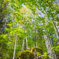 _DSC_0972.jpg