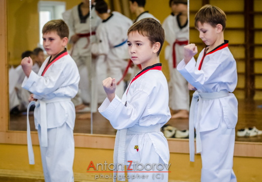 2014.12.14 - Taekwondo