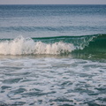 _DSC_0279.jpg