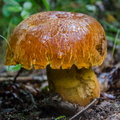 _DSC_0885.jpg
