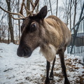 _DSC_5419.jpg