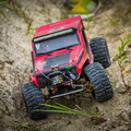 _DSC_4388.jpg