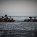 _DSC_4932.jpg