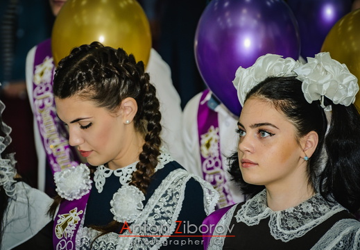 DSC 7373 (363 visits) DSC 7373
