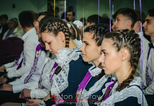 DSC 7380 (362 visits) DSC 7380