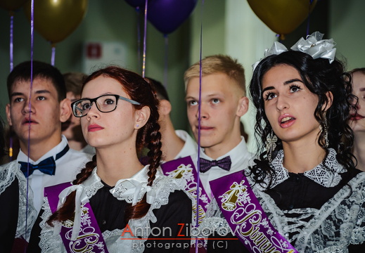 DSC 7383 (382 visits) DSC 7383