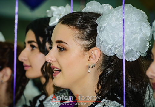 DSC 7416 (409 visits) DSC 7416