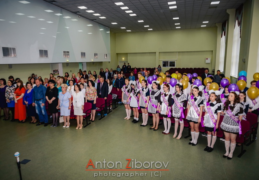 DSC 9502 (342 visits) DSC 9502