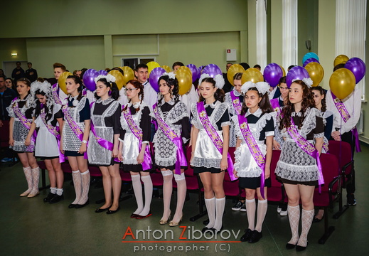 DSC 9503 (397 visits) DSC 9503