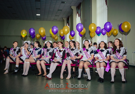 DSC 9505 (384 visits) DSC 9505