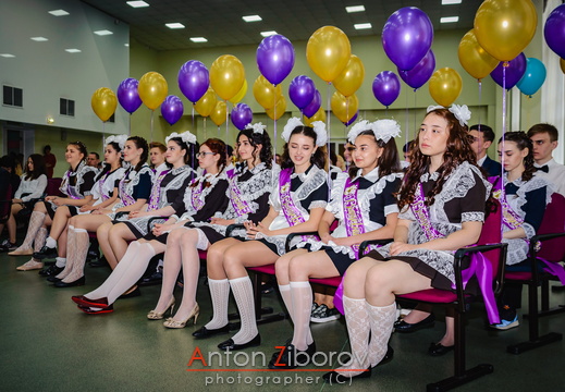DSC 9531 (351 visits) DSC 9531