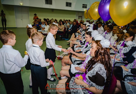 DSC 9536 (337 visits) DSC 9536