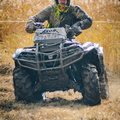 _DSC_2379.jpg