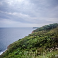 _DSC_6055.jpg