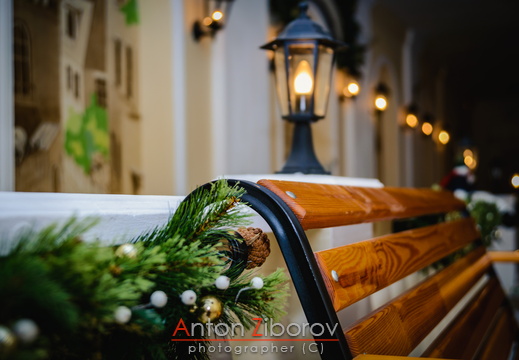 DSC 2319 (416 visits) DSC 2319