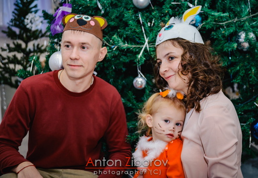 DSC 2372 (482 visits) DSC 2372