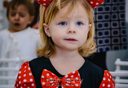 DSC 2374 (493 visits) DSC 2374