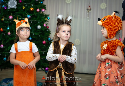 DSC 0276 (408 visits) DSC 0276