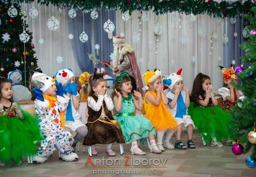 DSC 0309 (406 visits) DSC 0309