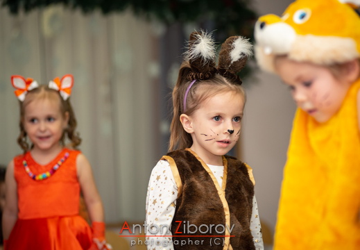 DSC 5738 (534 visits) DSC 5738