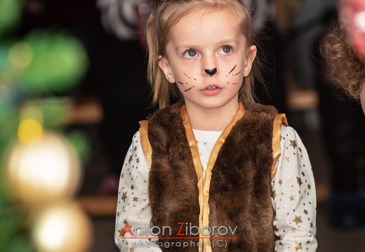 DSC 5785 (521 visits) DSC 5785