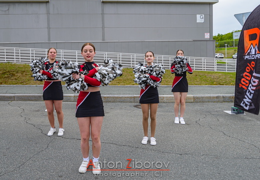 DSC 0234 (58 visits) DSC 0234