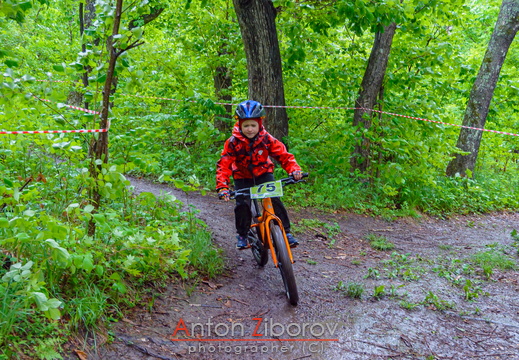 DSC 1117 (46 visits) DSC 1117