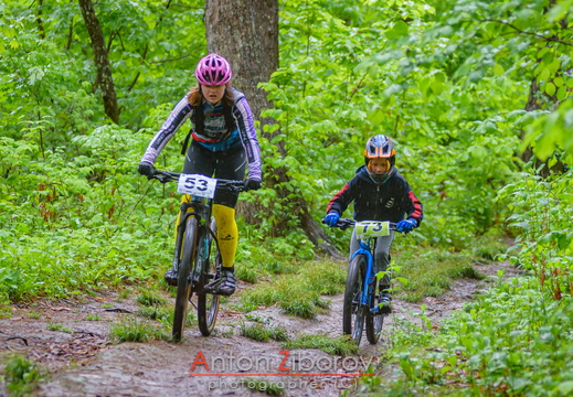 DSC 7973 (41 visits) DSC 7973