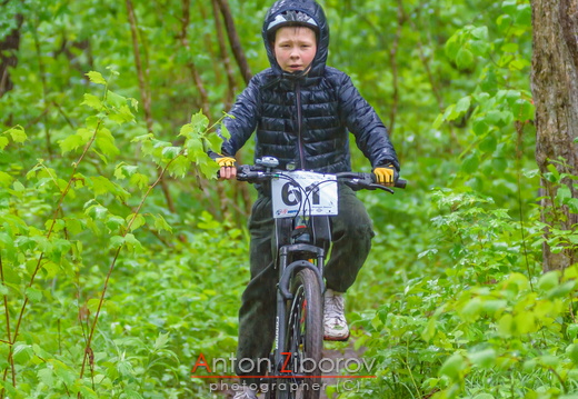 DSC 7997 (45 visits) DSC 7997