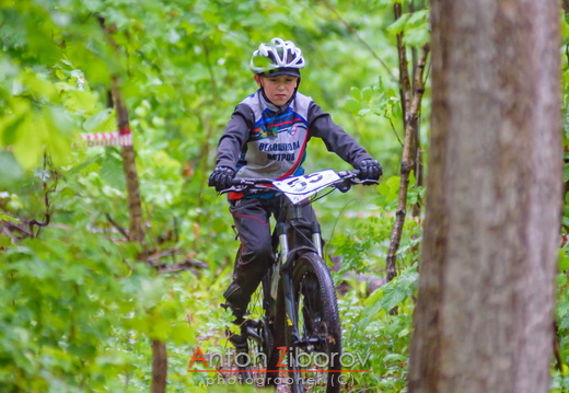 DSC 8017 (41 visits) DSC 8017
