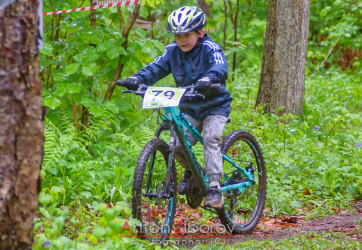 DSC 8028 (49 visits) DSC 8028