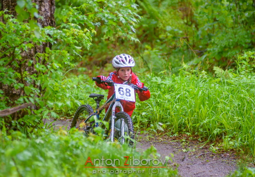 DSC 8033 (43 visits) DSC 8033