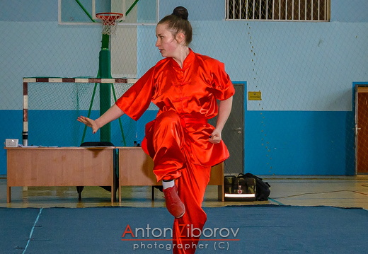 DSC 0681 (36 visits) DSC 0681